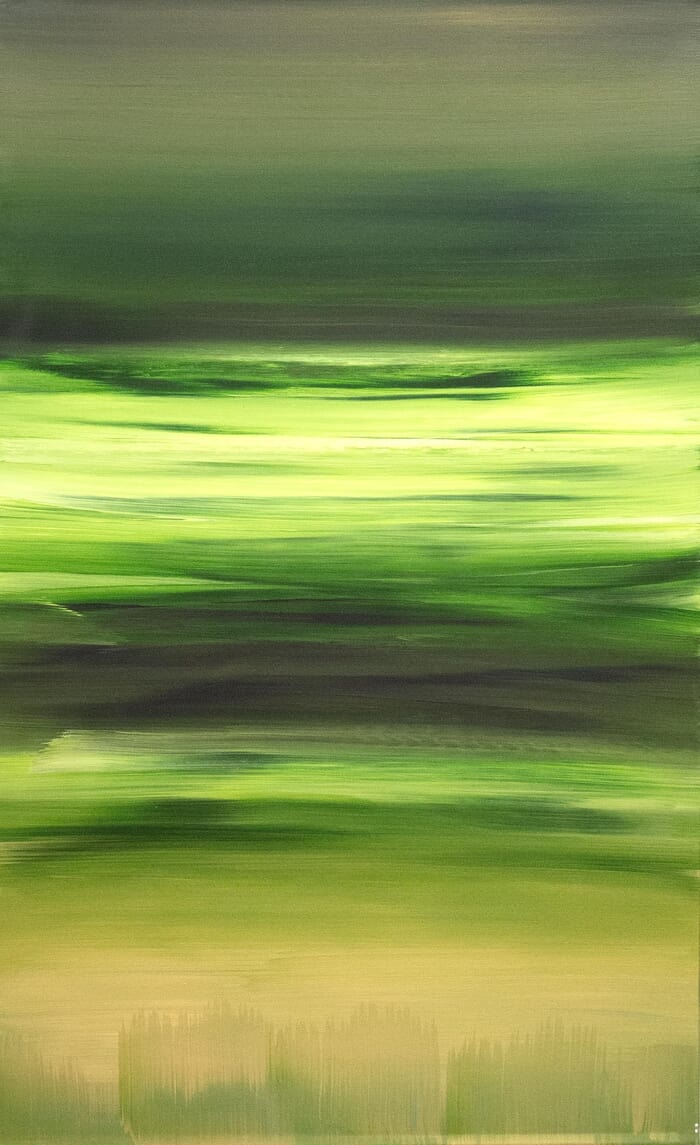 Fields of Serenity par Paresh Nrshinga - FRSA