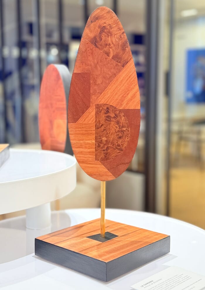 L'éclaireur von Amicie de Bouteiller