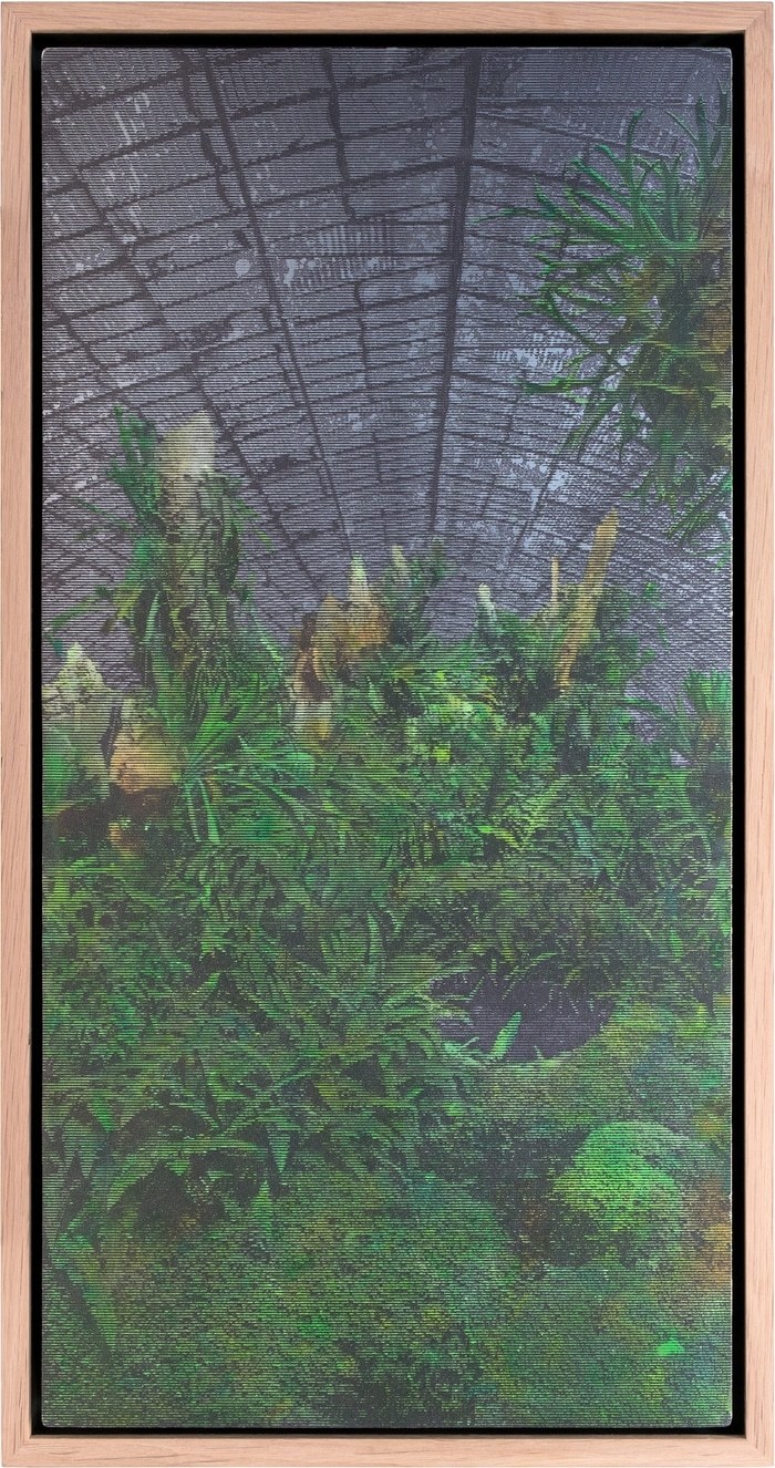 Les serres d'Auteuil VIII by Eric Mercier