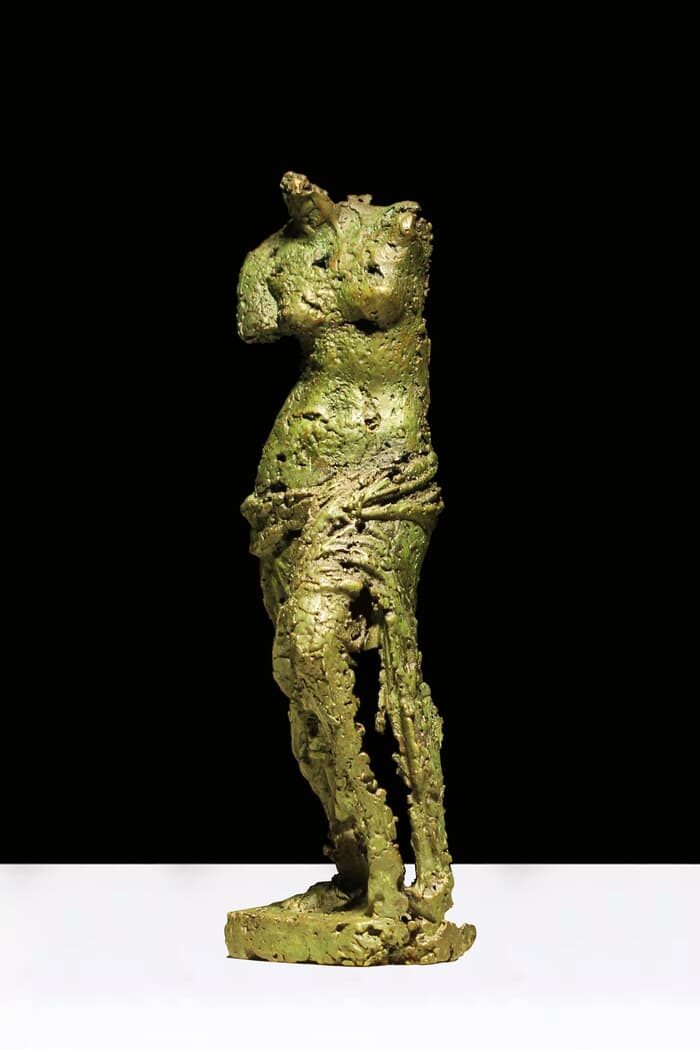 Vénus de Milo par Meyv