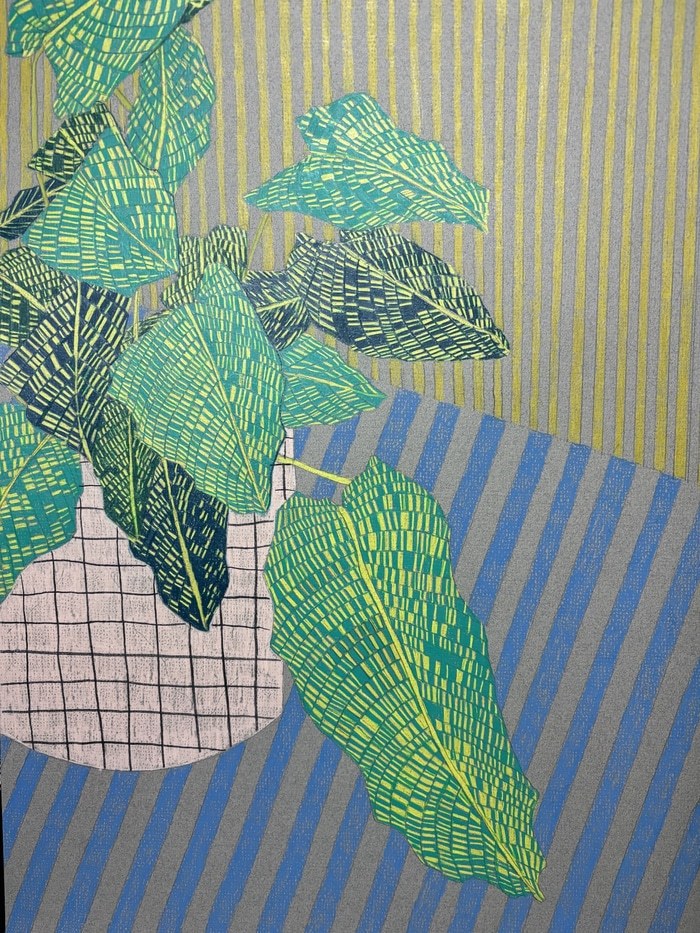 House Plant Study 1  by Clare Halifax