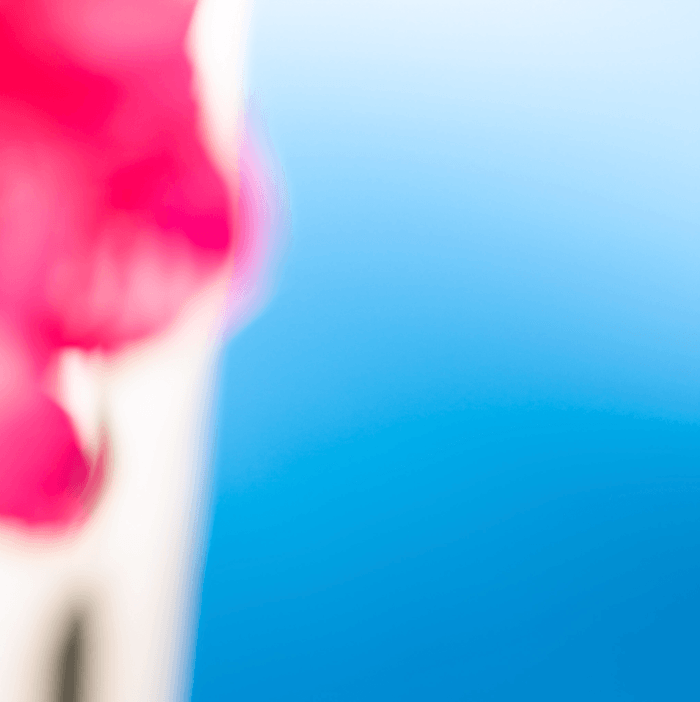 Soft Sea Flower 57 - Summer by Bruno Houdayer