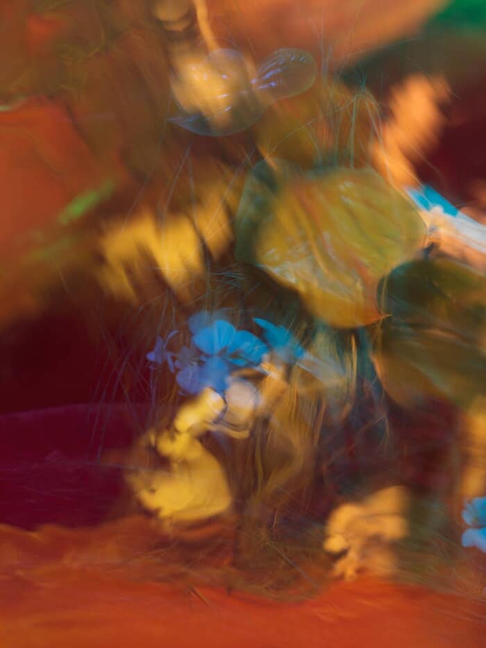 PARALLEL BEASTS III by Andrea Zvadova