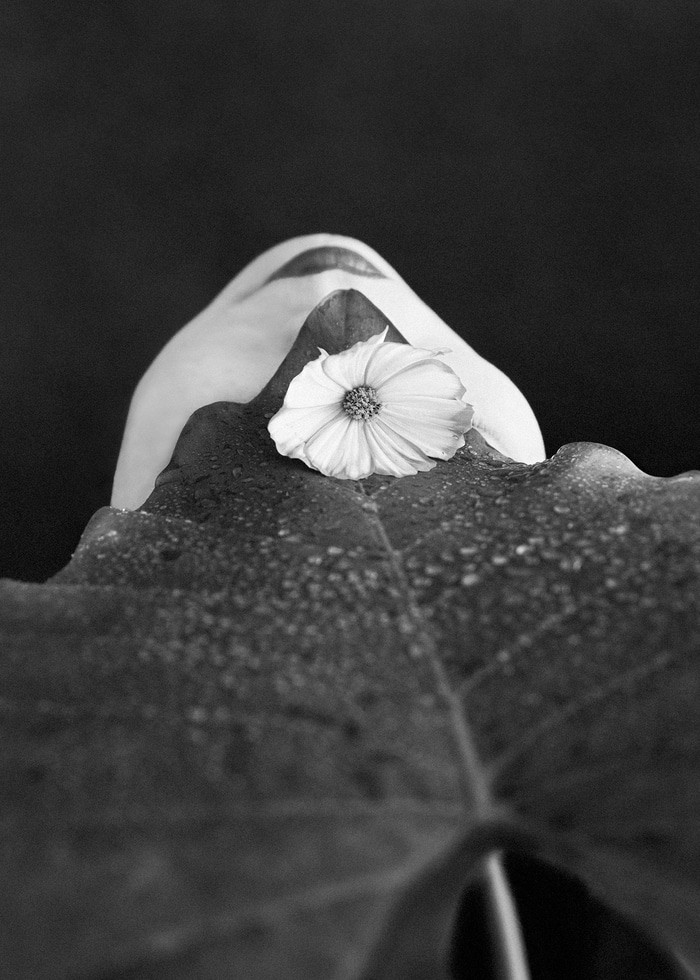 Ephemeral Mask​ - IV by Xidong Luo