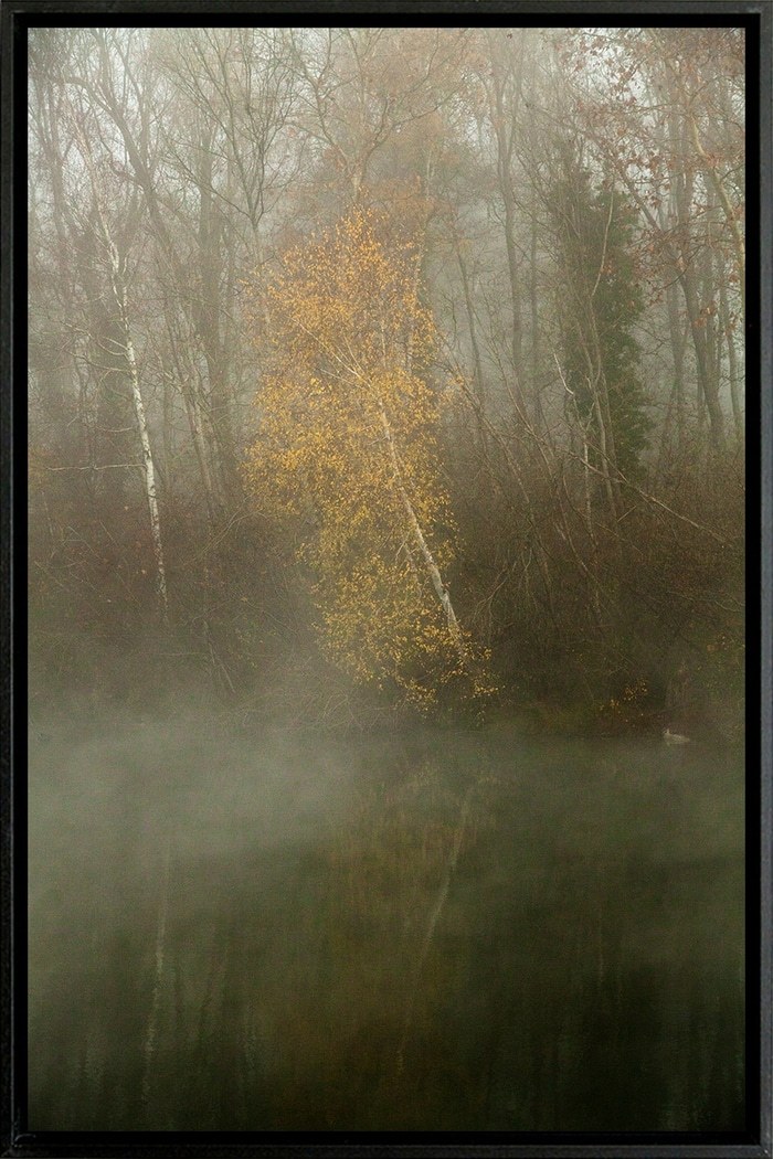 sans titre 120 by Thomas Gigot