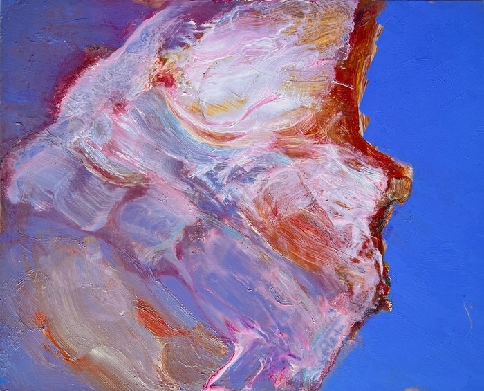 Cosmos by Nancy Collantine