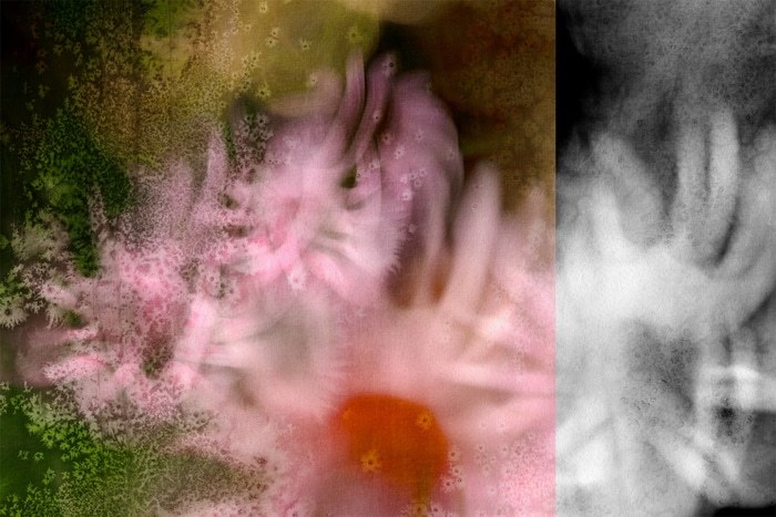 Tancredi I by Jérôme Pergolesi