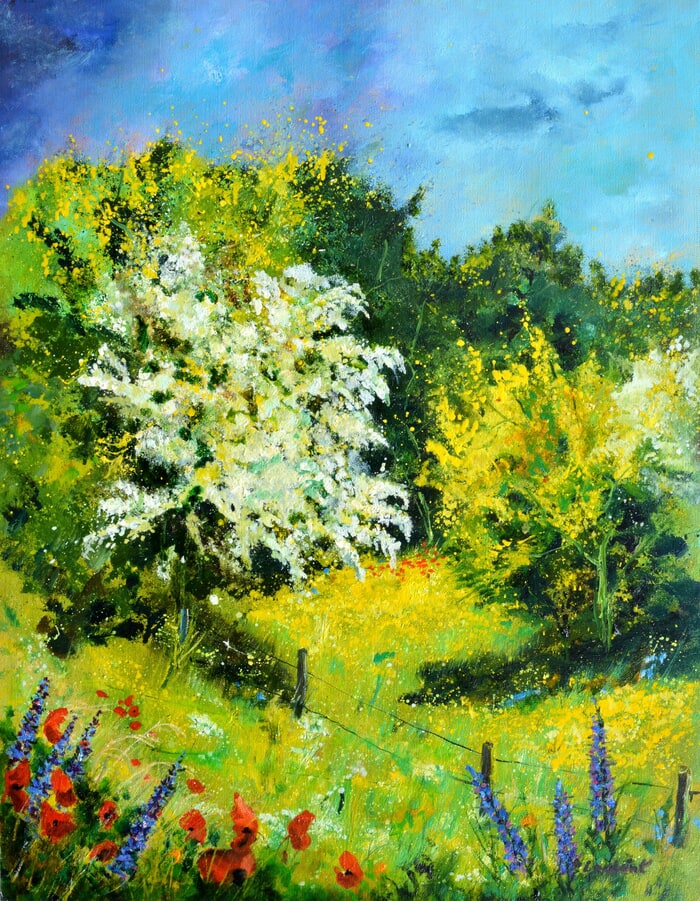 Blooming hawthorn by Pol Ledent