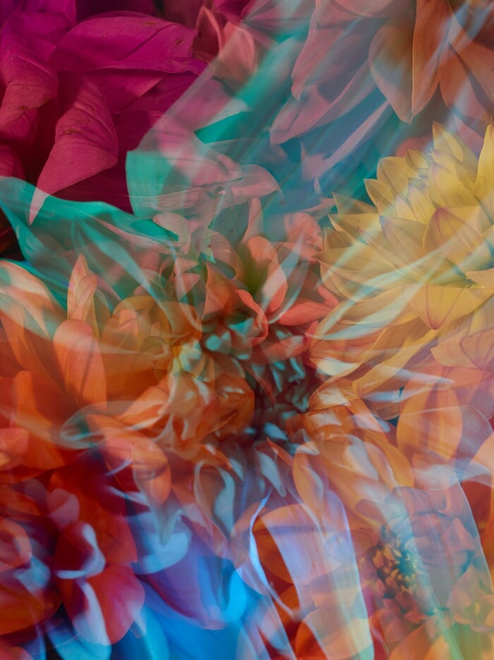 PARALLELS X by Andrea Zvadova