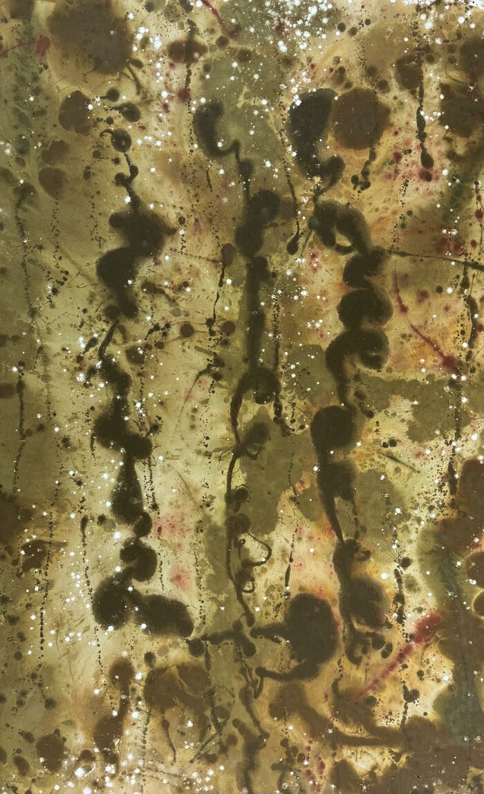 Cardón by Javiera da Fonseca Ilic