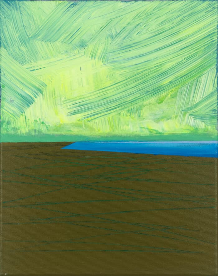 Area 17 by Katrin Roth