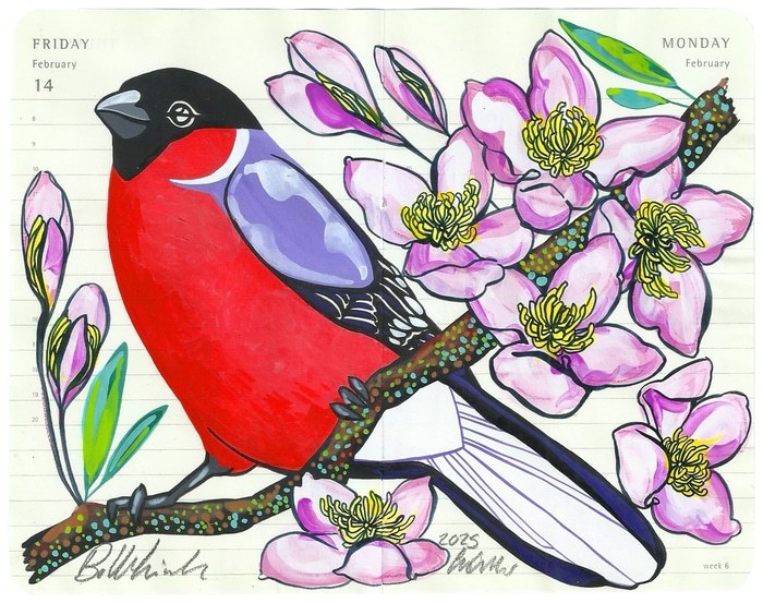 Bullfinch by Fran Giffard