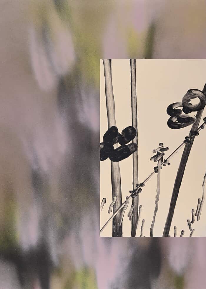 Before Fleabane par Euphrosyne Andrews & Daniel Fletcher