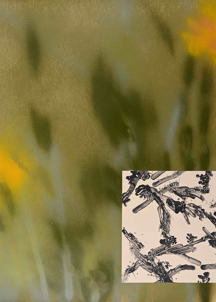 Whin (Summer) par Euphrosyne Andrews & Daniel Fletcher