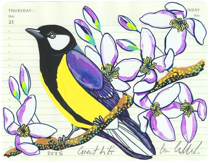 Great Tit by Fran Giffard