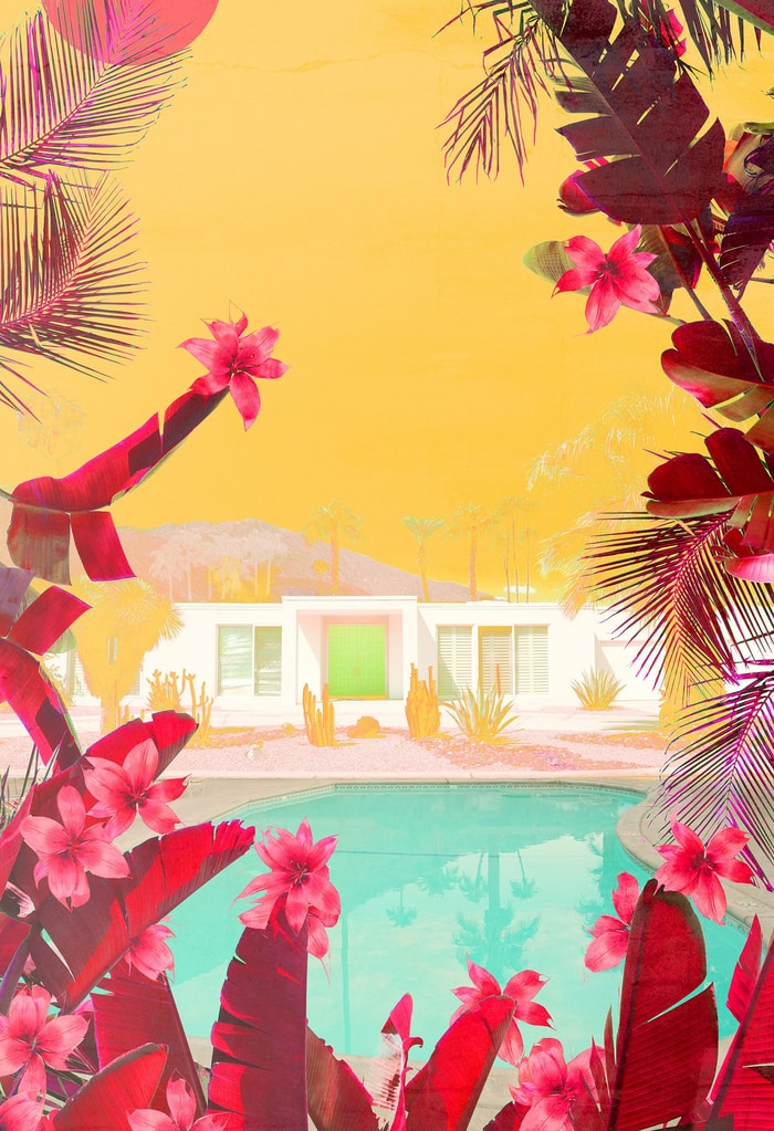 Cactus Hills by Nadia Attura