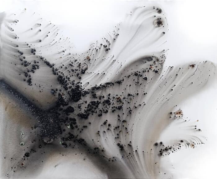 Nature 521 von Muriel Napoli