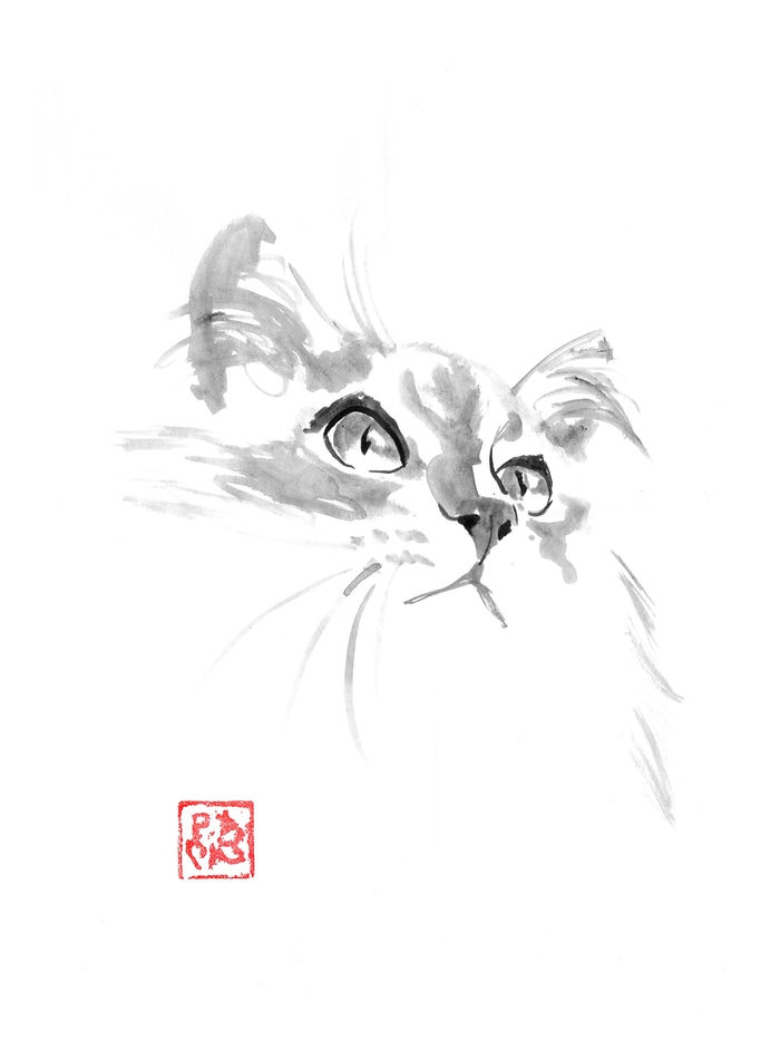 cute cat by Péchane