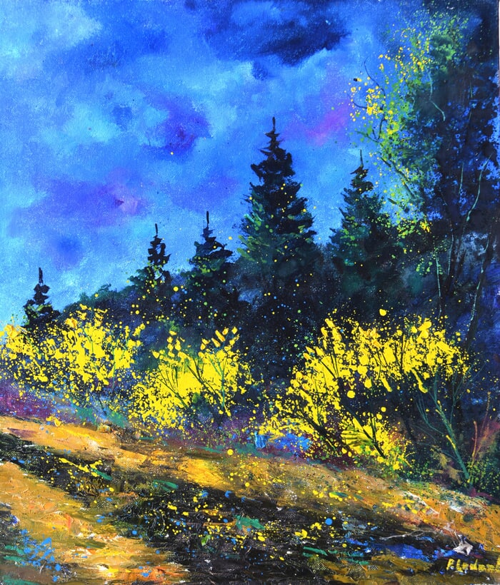 Yellow brooms  by Pol Ledent