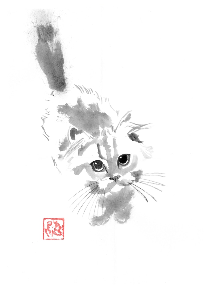 Cute fluffy cat by Péchane