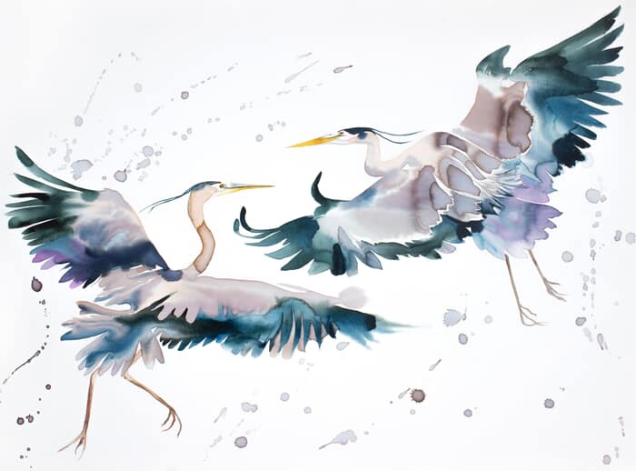 Herons in Flight No. 8 by Elizabeth Becker