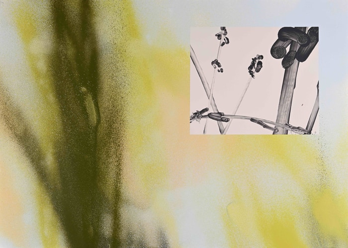 Midsummer Plenty par Euphrosyne Andrews & Daniel Fletcher