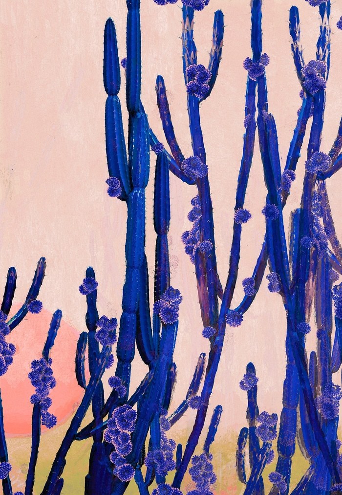 Cactus Valley by Nadia Attura