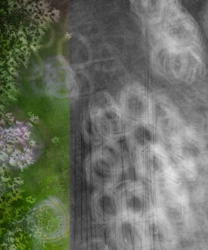 Melonia by Jérôme Pergolesi