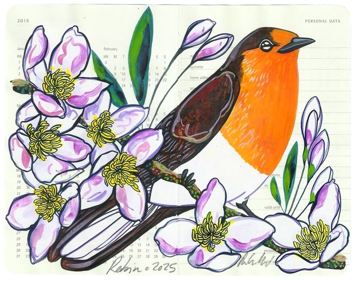 Robin by Fran Giffard