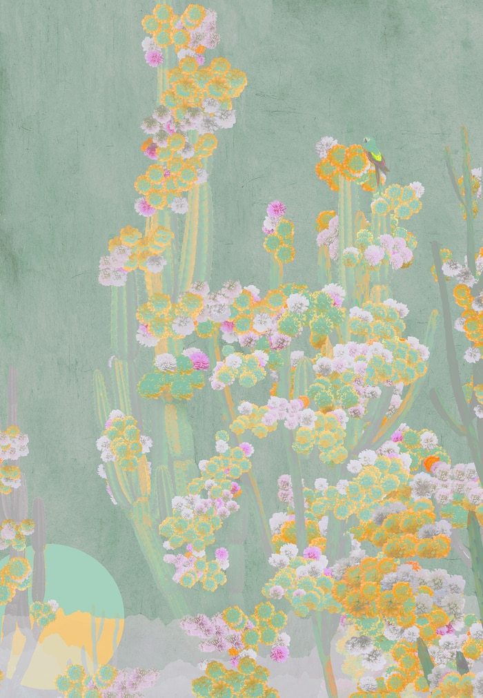 Cactus Jade by Nadia Attura