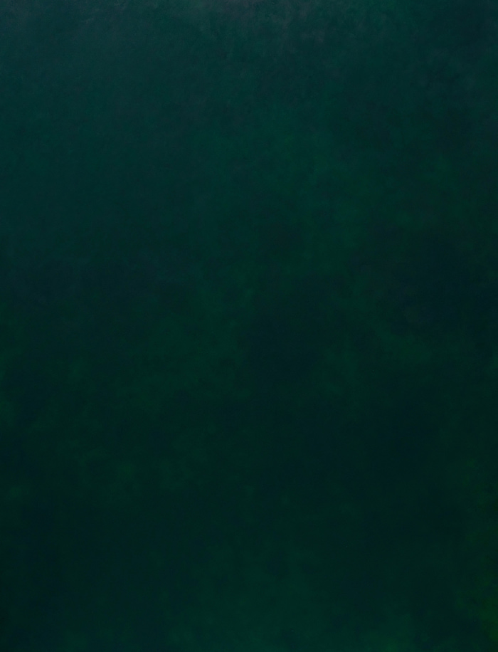 Green Velvet von Nataliia Sydorova