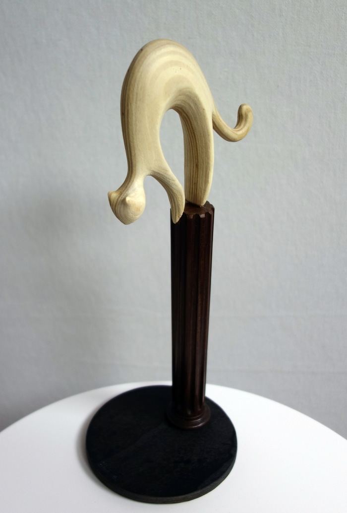 Chat Perché par Gaël Rouxeville