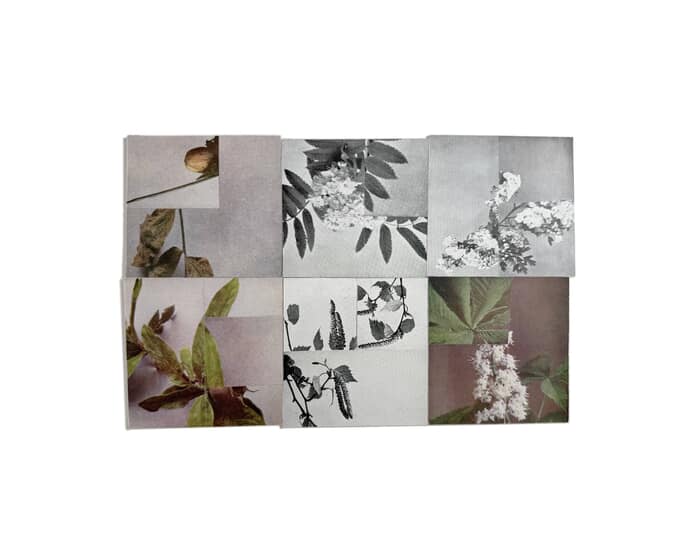 Between Surface and Ground par Mona Sultan