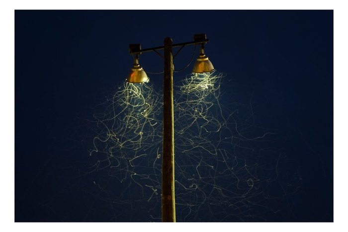 8922 • Sault Ste Marie, Michigan par Carl Corey