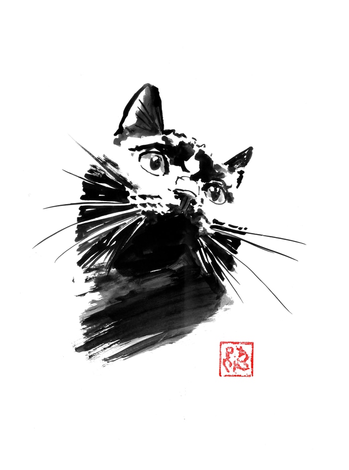 Lurkin cat von Péchane