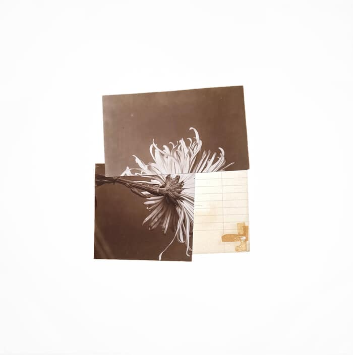 In Desperate Search For The Unfamiliar V par Mona Sultan