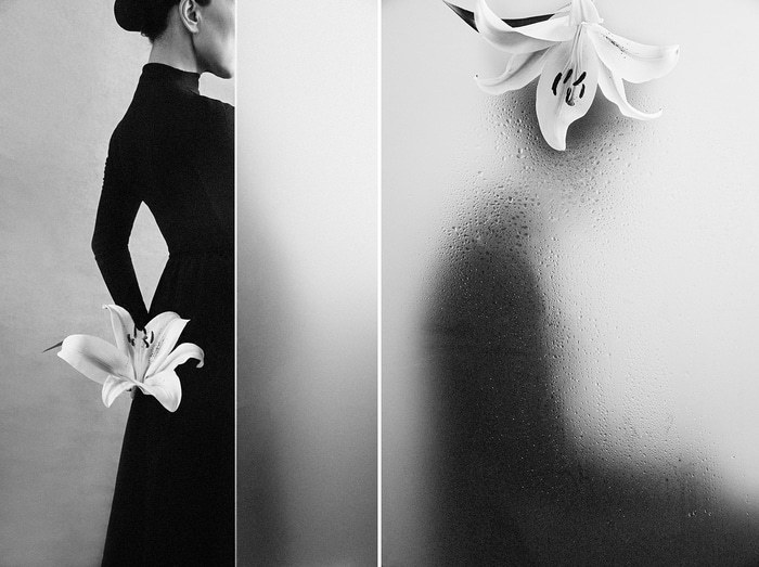 Lily's Imprint: Form and Fragment par Xidong Luo