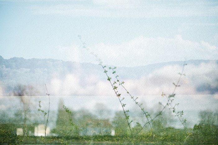 Esteve par Jérôme Pergolesi