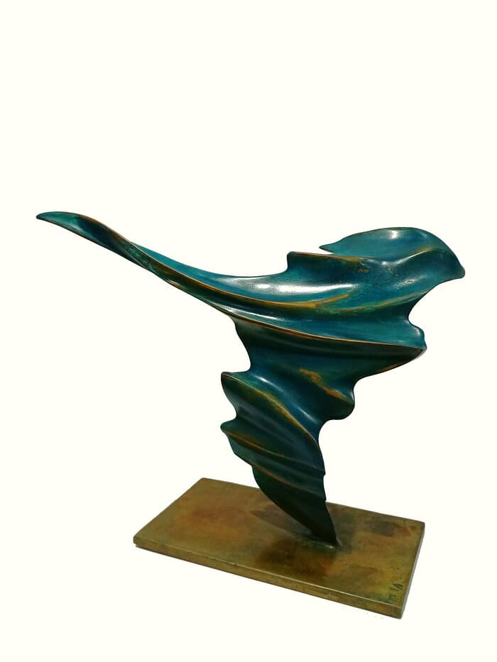 Survol by Gaël Rouxeville