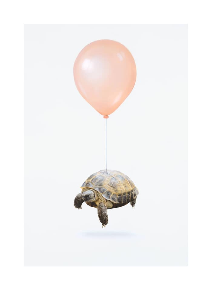 Olga VI von Joshua Daniels