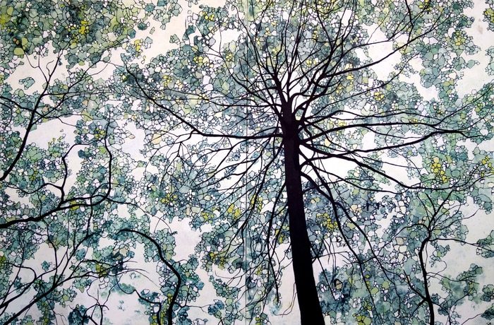 Sous les pins par Sophie Cantou