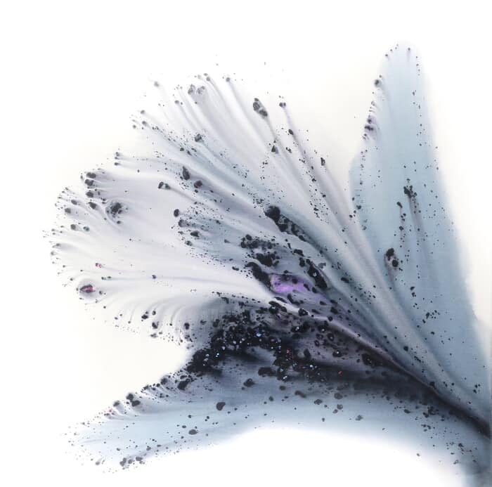 Nature 292 by Muriel Napoli