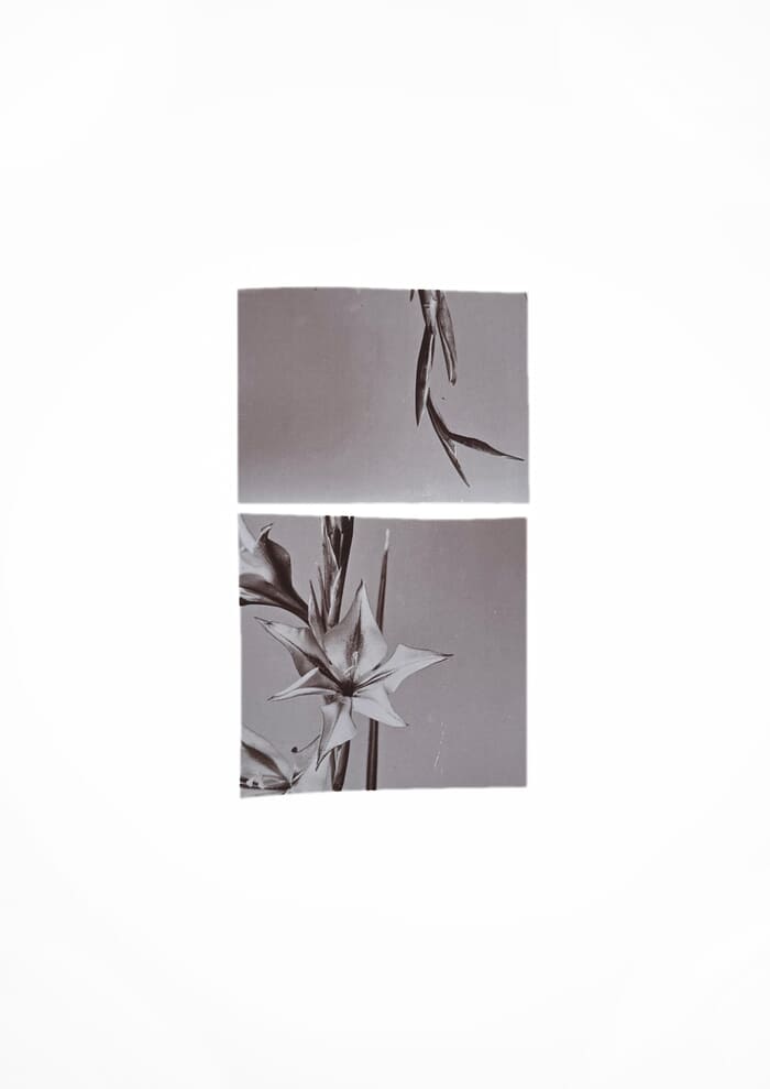 In Time II par Mona Sultan