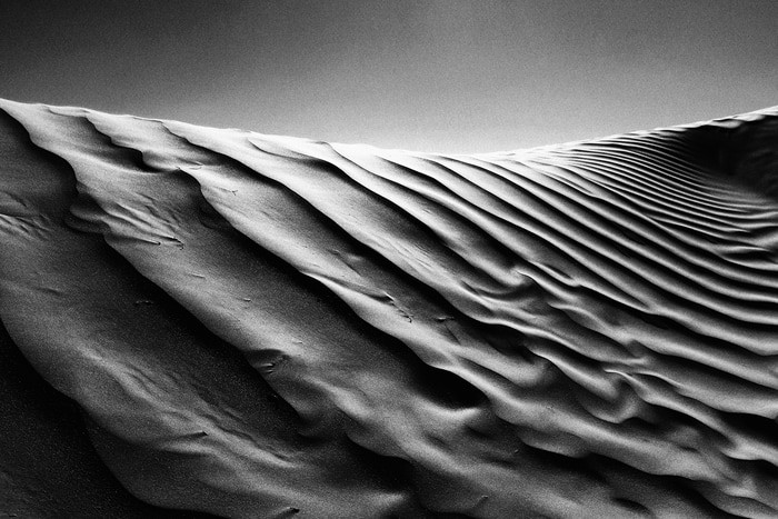 dune von Lise Hébuterne