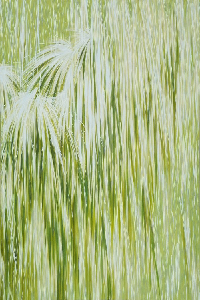 White Noise par Kanny Yeung