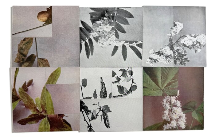 Between Surface and Ground by Mona Sultan