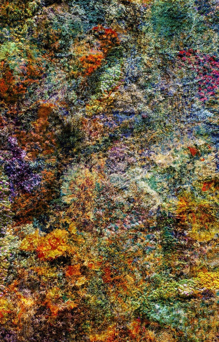 Wall of Nature LV par Viet Ha Tran