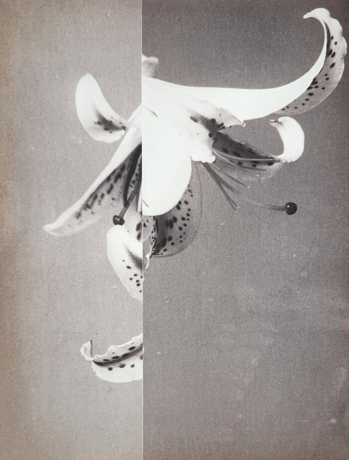 Steered Adrift III  par Mona Sultan