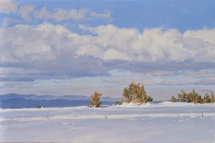 Pines on the snowy summit of Mount Mézenc by Anne Baudequin