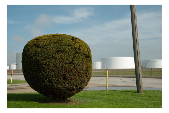 10184 • Gary, Indiana von Carl Corey